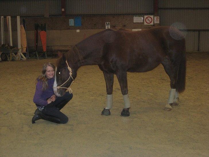 Anden særlig race Safi Rubin (SOLGT) - telidsøvelser billede 3