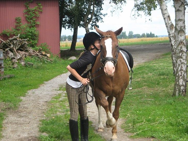 Anden særlig race Safi Rubin (SOLGT) - jeg elsker dig safi min lille rubin<33 billede 5