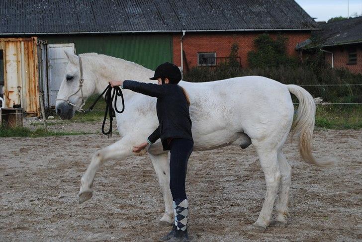 Connemara Saki  - Dygtig hyp ;) billede 8