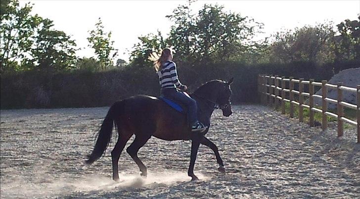 Anden særlig race bianca (R.I.P. I Love Y) billede 9