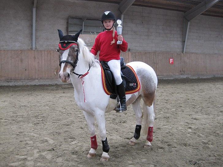 Anden særlig race Clemens Milky Way - Sydjydsk mesterskab i ponygames, vi vandt :) billede 1