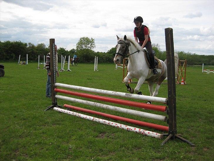 Anden særlig race Clemens Milky Way - Undervisning på Egum. billede 5