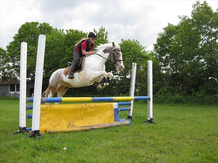 Anden særlig race Clemens Milky Way - Dejlig springtime billede 4