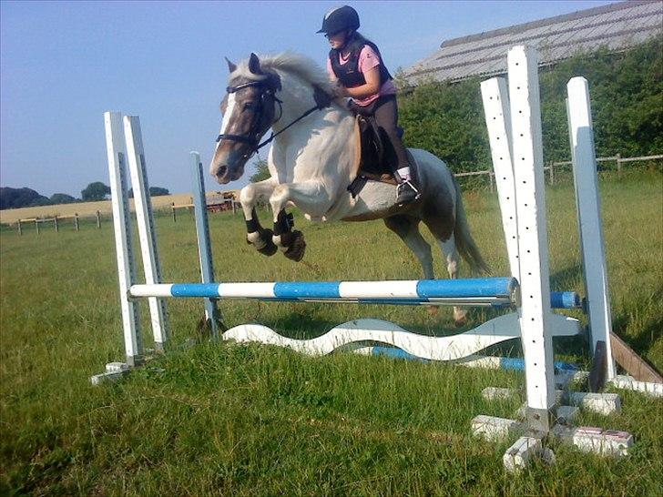 Anden særlig race Clemens Milky Way - Super springtime billede 3