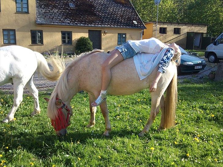 Anden særlig race Amira - En dejlig sommerdag i sommerferien !:) billede 1
