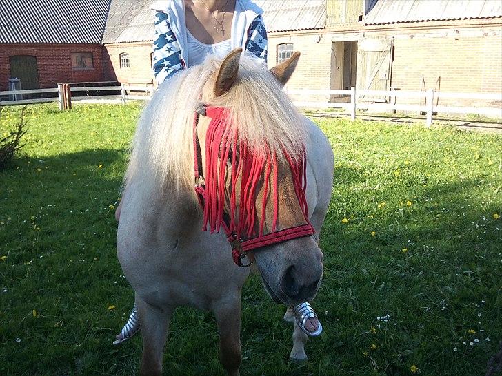 Anden særlig race Amira - Hvaaaaaaaaad er det o:? billede 2