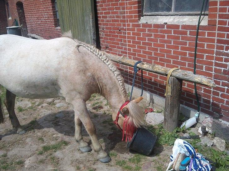 Anden særlig race Amira - Maaaaaaaad :D haha :D billede 3