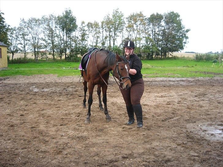 Dansk Varmblod Majbrit. RIP - Tak for en god dag Majbrit. :) billede 13