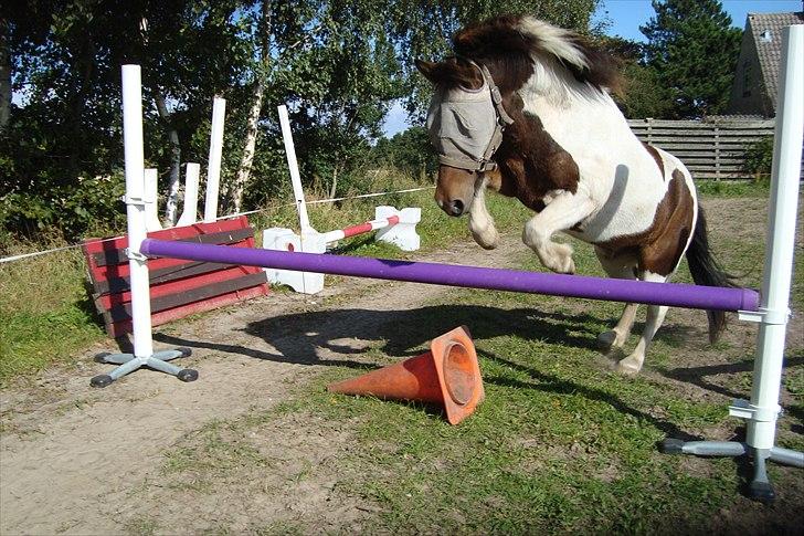 Islænder lokkur billede 14