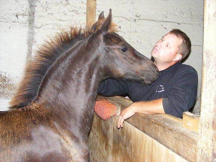 Frieser Elvis af Nygaard - Elvis og Kevin ca. 2mdr. gammel billede 8