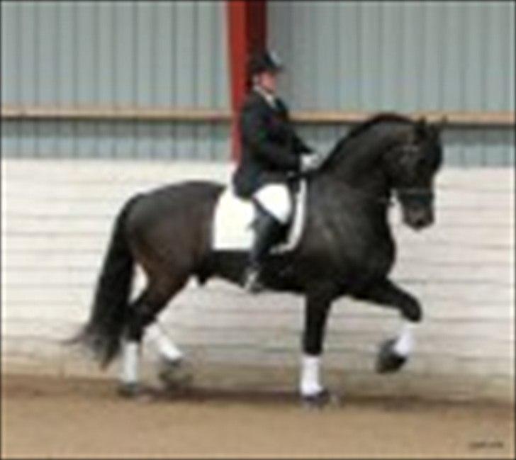 Frieser Bink - Gitte og Bink til stævne billede 19