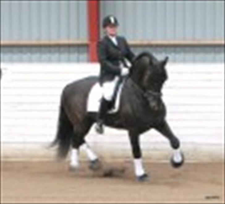 Frieser Bink billede 20