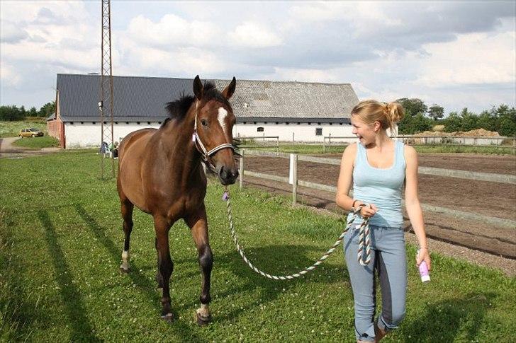 Anden særlig race Stensgaardens mistral - en dejlig hyggedag(: billede 7