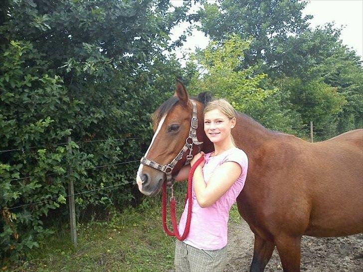 DSP Firhøjs Bjanca *mit'alt* - mit hjerte er dit, og kun hos dig slår det <3 billede 19