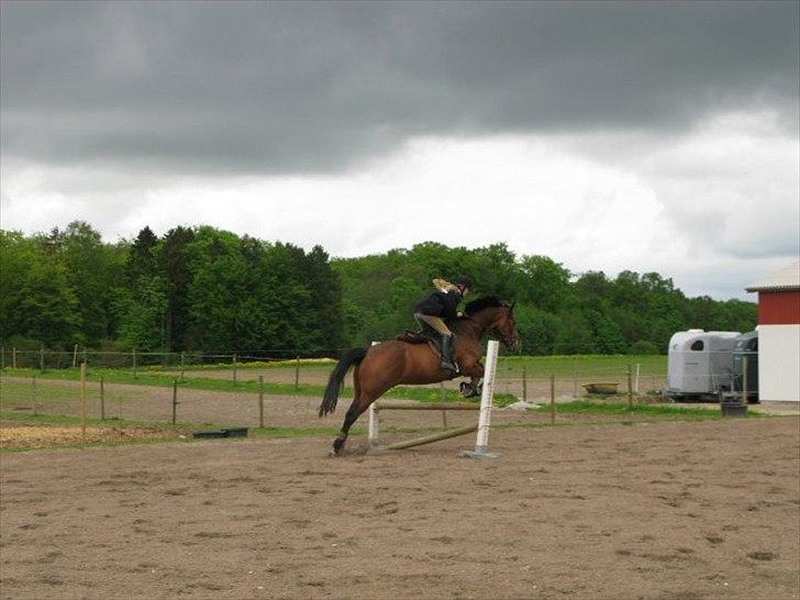 Anden særlig race Ivoire Gede RIP billede 10