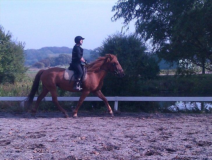 Anden særlig race Hard Amir - riding fra 24-09-2010 det gik mega godt :D billede 7