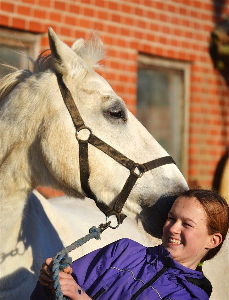 Connemara Saki  - Jeg elsker også dig :´) billede 13