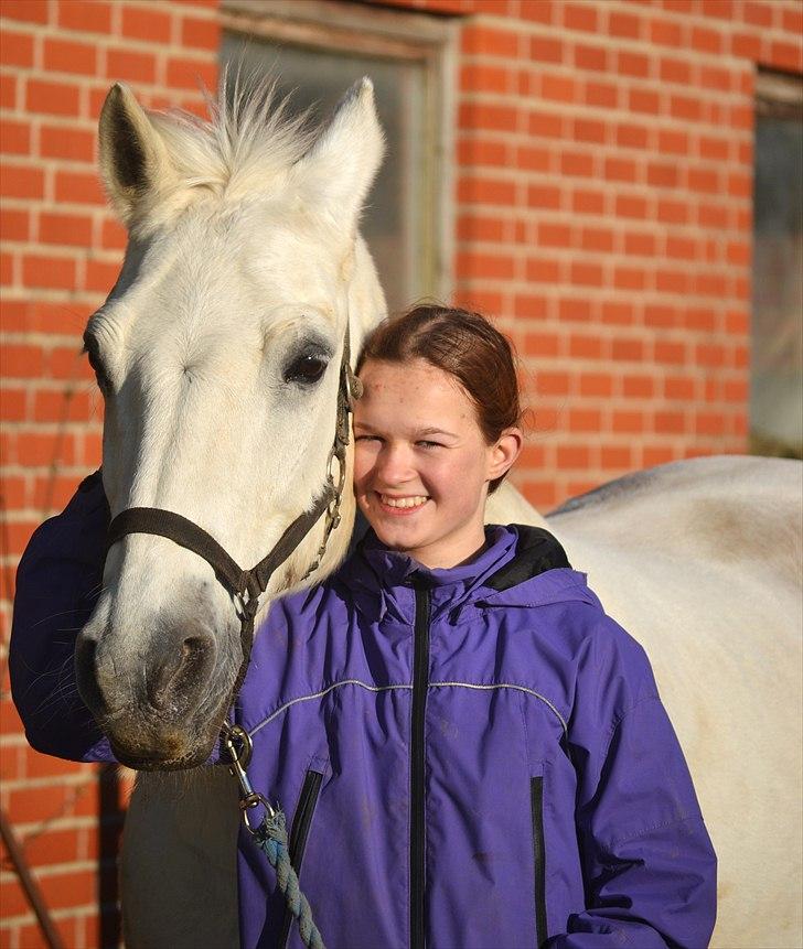 Connemara Saki  - Basse, - jeg vil aldrig glemme dig!  billede 19