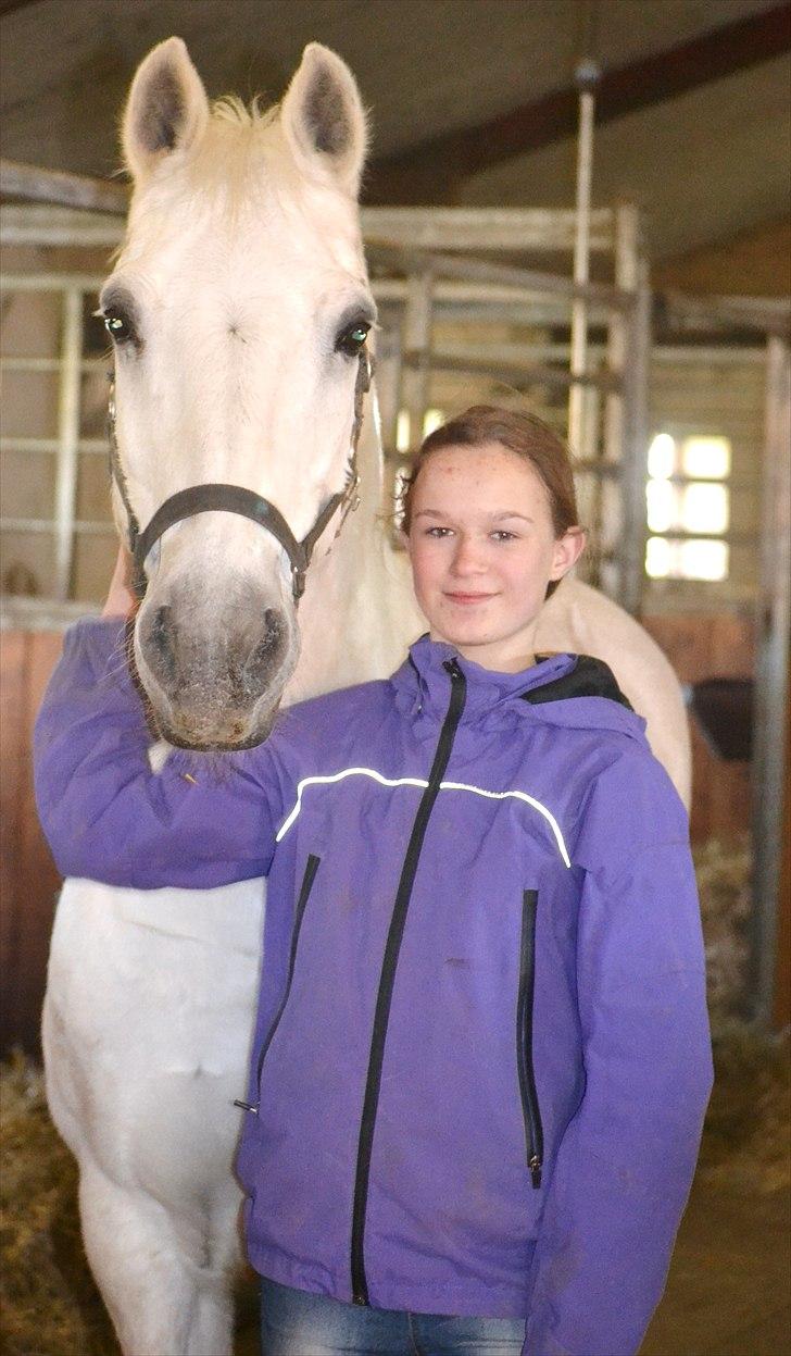 Connemara Saki  - Saki og jeg siger tak fordi du kiggede på ham, husk nu at bedømme og lægge en komentar 8D billede 20