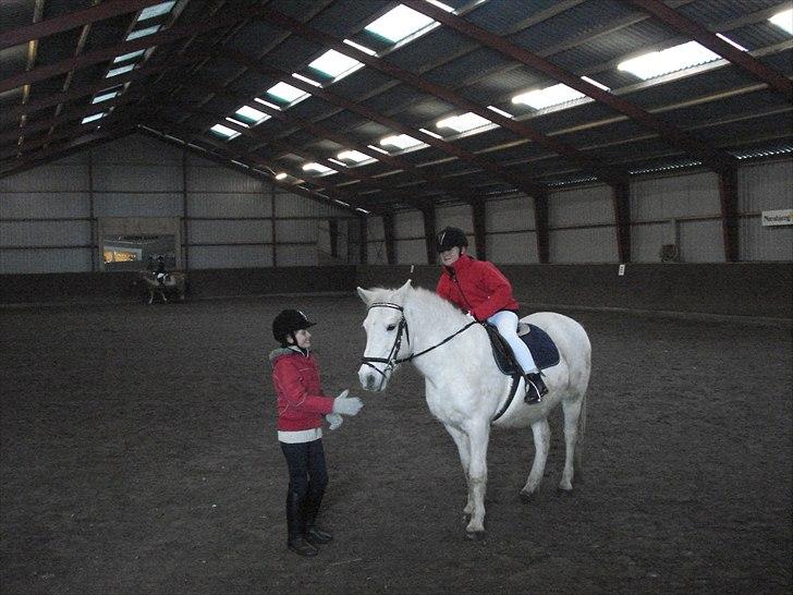 Anden særlig race piaff (Gammel part) billede 5