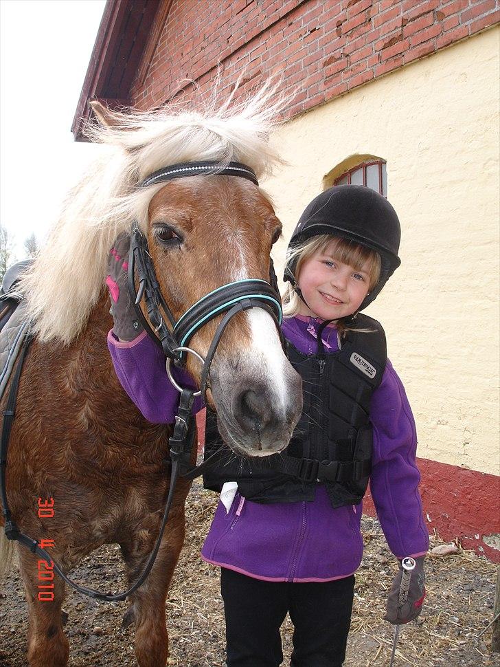 Anden særlig race BobbyHill - BobbyHill og Mathilde efter en træningsdag på banen billede 1