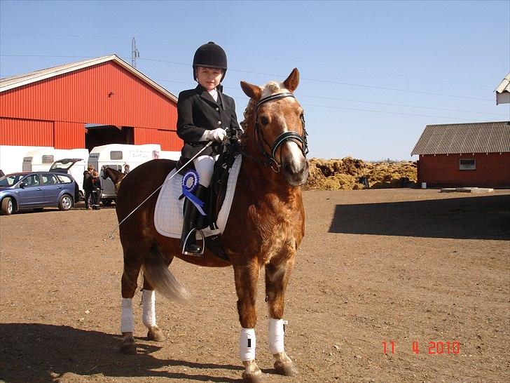 Anden særlig race BobbyHill billede 3