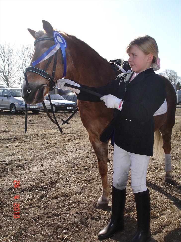 Anden særlig race BobbyHill billede 4