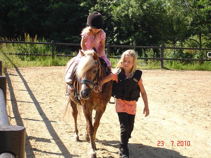 Anden særlig race BobbyHill billede 6