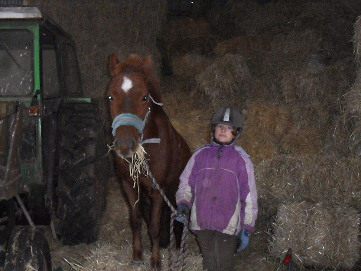 Anden særlig race Emil - Drømmen..<3 Savnet<3;D - Emil fordi vi stoler på hinanden <3 :P billede 18