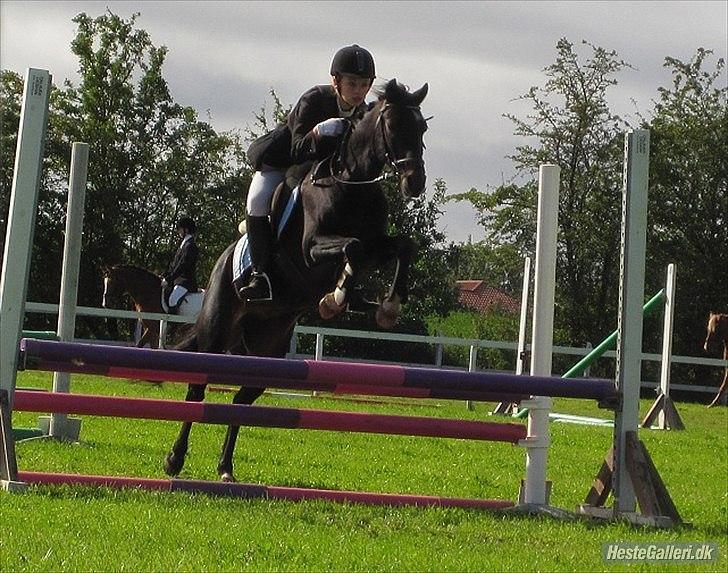 Anden særlig race Rose *REGIONSMESTER 2010* - LC i Sevel d. 18/9-2010. billede 8