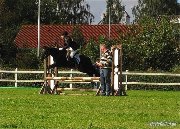Anden særlig race Rose *REGIONSMESTER 2010* - LC i Sevel d. 18/9-2010. billede 9