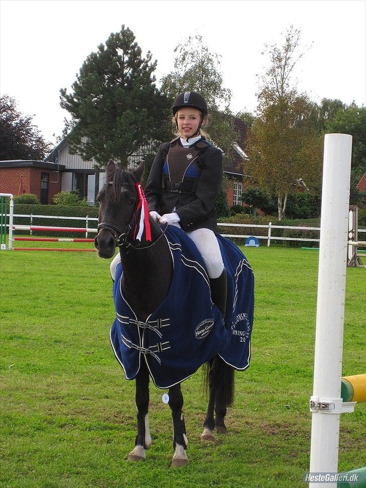 Anden særlig race Rose *REGIONSMESTER 2010* - Regionsmestre i LB for kat. 2 & 3 :D billede 10