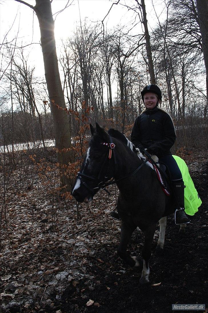 Anden særlig race Bounty ( TIDLIGER DRØMME PART ) - vi stå og venter ved fortunen der var nongle løse heste!! billede 8