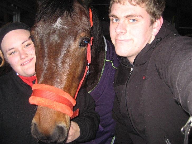 Anden særlig race Miss Purple solgt/savnet billede 17