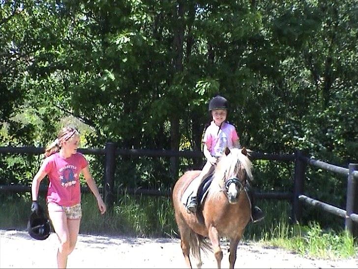 Anden særlig race BobbyHill billede 8