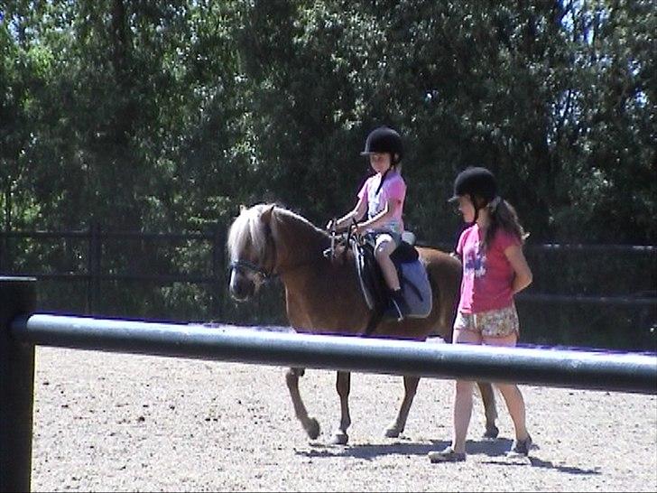 Anden særlig race BobbyHill billede 9