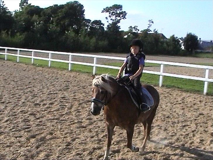 Anden særlig race BobbyHill billede 10