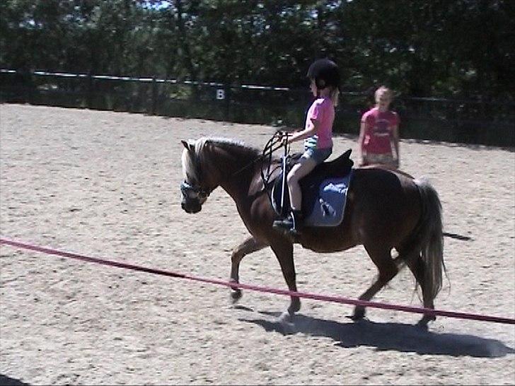 Anden særlig race BobbyHill - Min allerførste tur på bobby 1. Juni 2009 billede 15