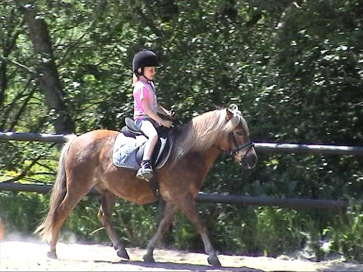 Anden særlig race BobbyHill - Min allerførste tur på Bobby 1. Juni 2009 billede 16