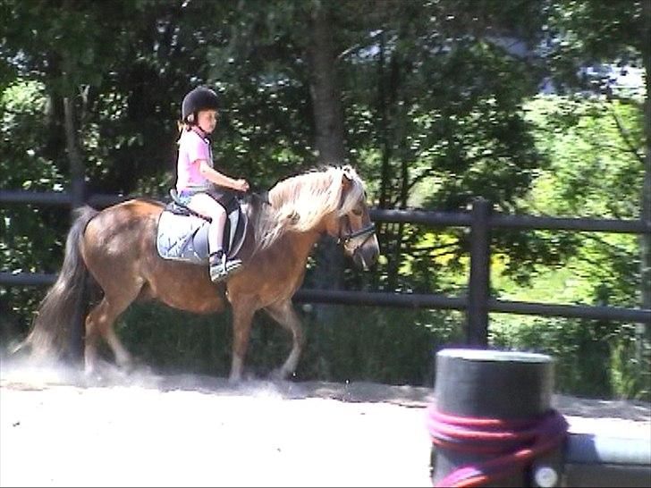 Anden særlig race BobbyHill billede 17