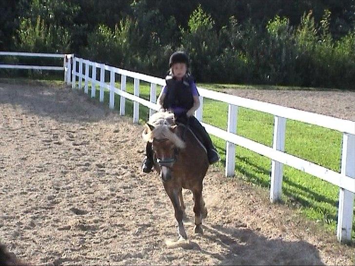 Anden særlig race BobbyHill - Træning på Bobby i HRV billede 18