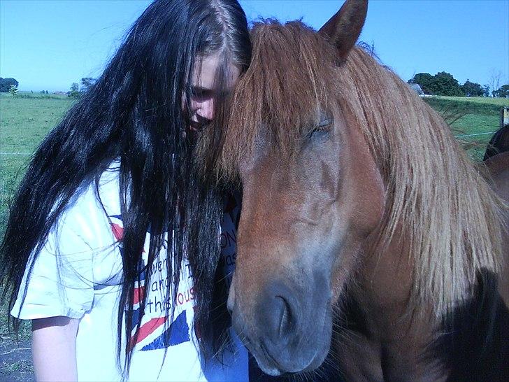 Islænder una fra skyggefaxe billede 4