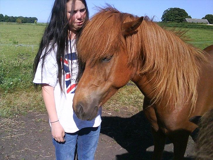 Islænder una fra skyggefaxe billede 5