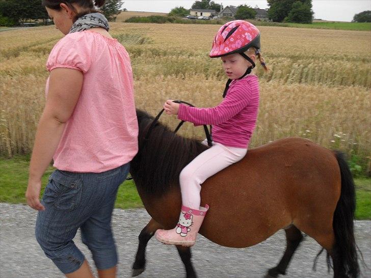 Shetlænder Sidse - Sidse og Simone er ude at ride tur. billede 2