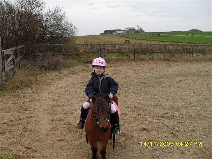 Shetlænder Sidse - Sidse og Simone på ridebanen. billede 5