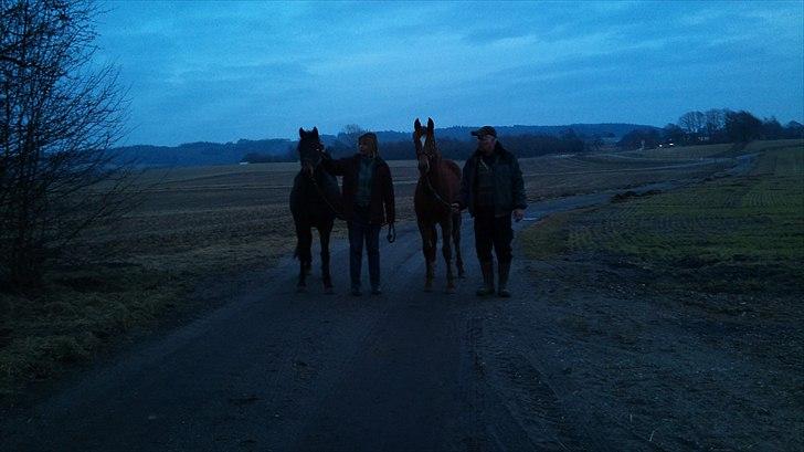 Pinto Faithfuls Mr. President - På tur med Pandora. //2år// ... Fotograf: Mig billede 7