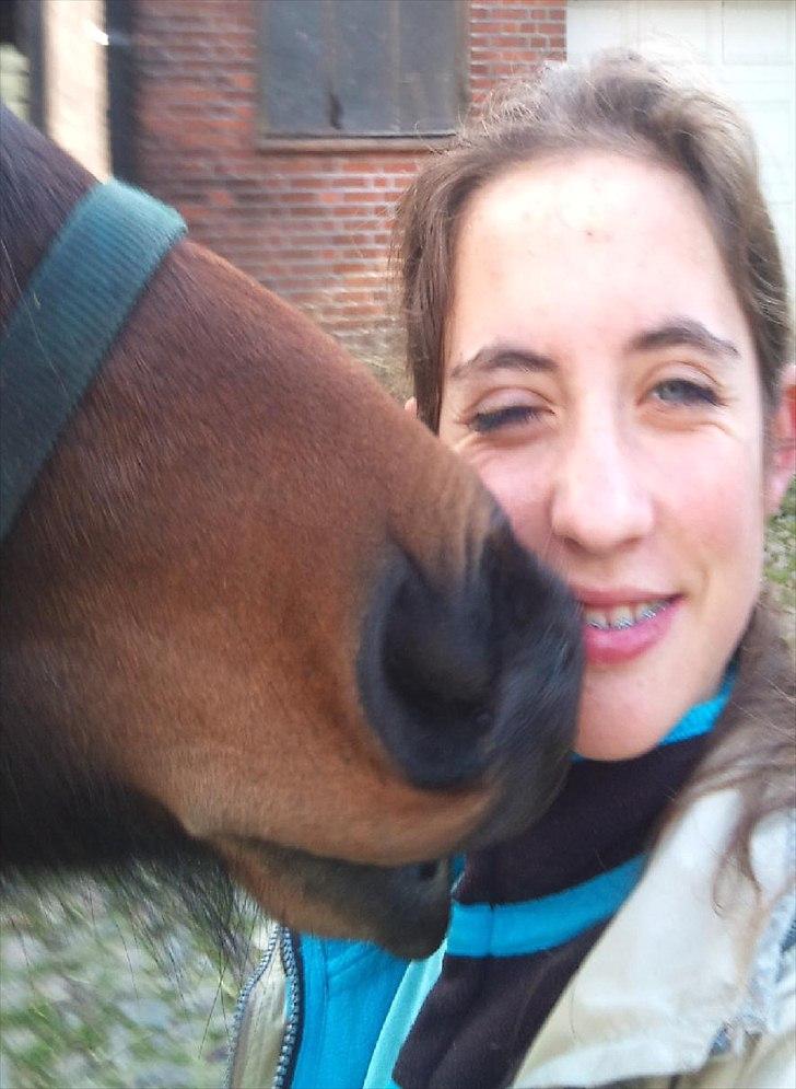 Pinto Faithfuls Mr. President - Kys, Kys. //1,5år//  ... Fotograf: Mig billede 16