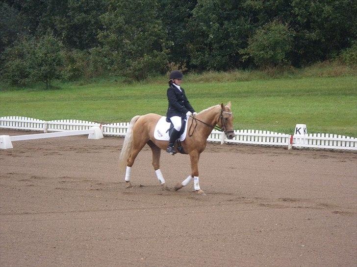 Cruzado Carbosa R.I.P miin elskede hest - miin lille bosa <3 billede 17