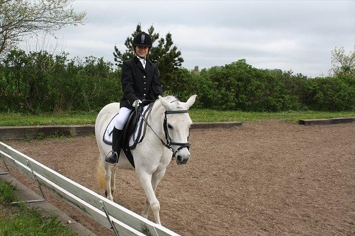 Anden særlig race Skovbjerggårds coxx - Vores første stævne.. (; billede 12