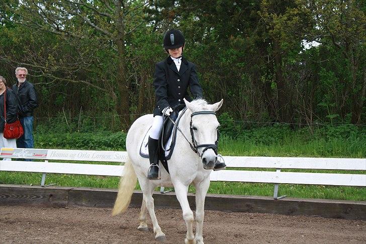 Anden særlig race Skovbjerggårds coxx billede 13